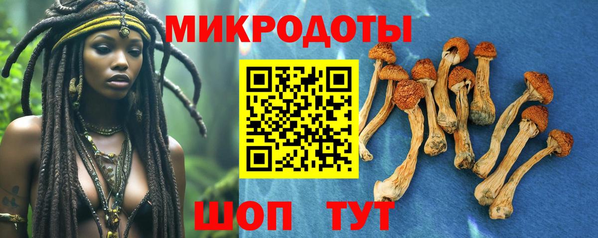 Галлюциногенные грибы Psilocybe  Псилоцибиновые грибы Psilocybe  Петрозаводск  Вход с VPN 