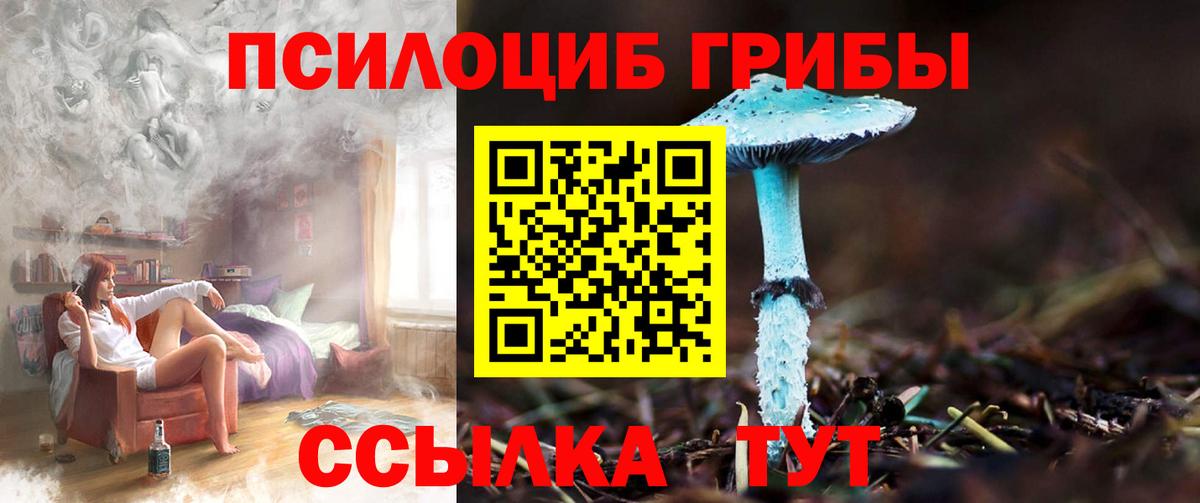 Галлюциногенные грибы прущие грибы Петрозаводск