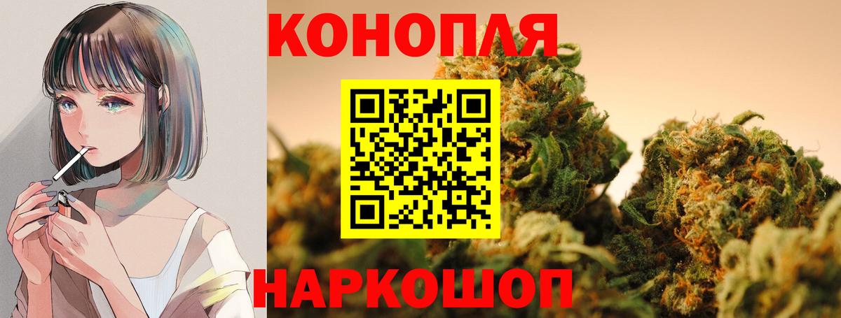 Бошки марихуана план  Шишки марихуана индика  Вход с VPN  Петрозаводск 